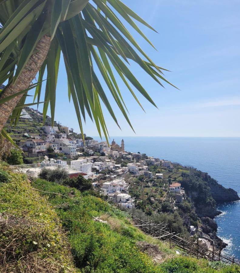 فيلا Terrazza Di Rosa - Sea View برايانو المظهر الخارجي الصورة